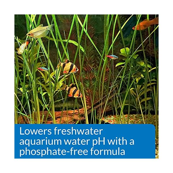 API-pH-DOWN-Freshwater-Aquarium-Water-pH-Reducing-Solution-118-ml-Bottle API pH UP Freshwater Aquarium Water pH Raising Solution 1.25-Ounce Bottle
