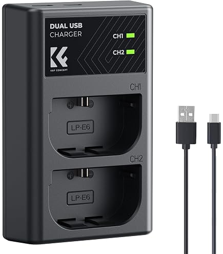 Amazon.com : Micro USB Battery Charger for Canon EOS C100 and EOS