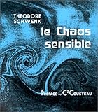 Le chaos sensible by 