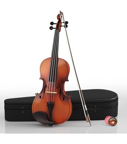 Amazon.com: Stentor, 4-String Viola-Acoustic (1505 14