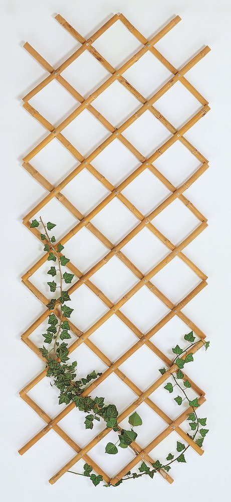 VERDELOOK Bamboo Trellis Extendible 90 x 180 cm, Ideal for Outdoor Decoration