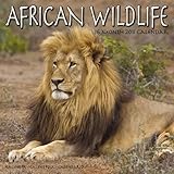 African Wildlife 2011 Wall Calendar #30100-11 by 