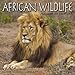 African Wildlife 2011 Wall Calendar #30100-11 by 