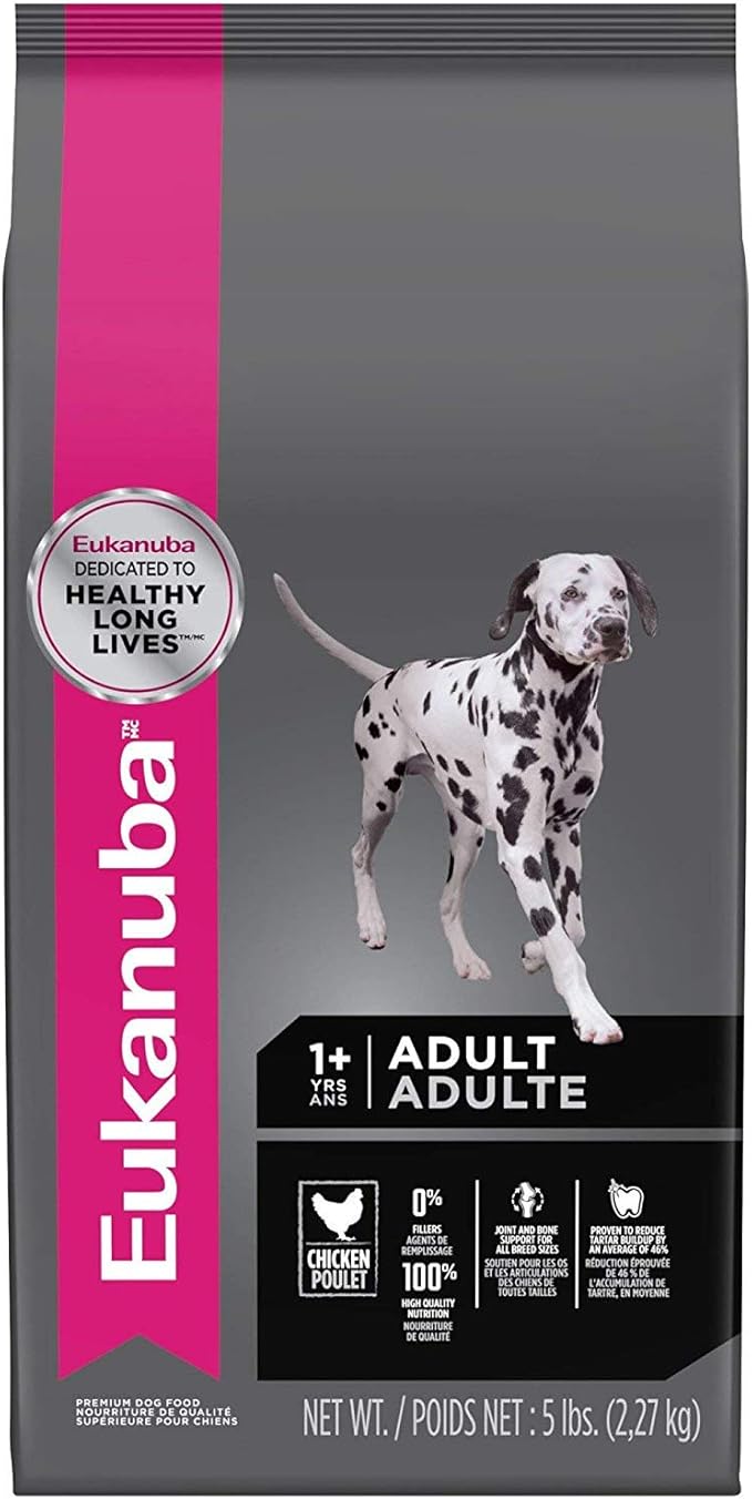 eukanuba dalmatian