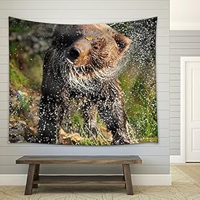 Bear in Forest - Fabric Wall Tapestry Home Decor - 51x60 inches