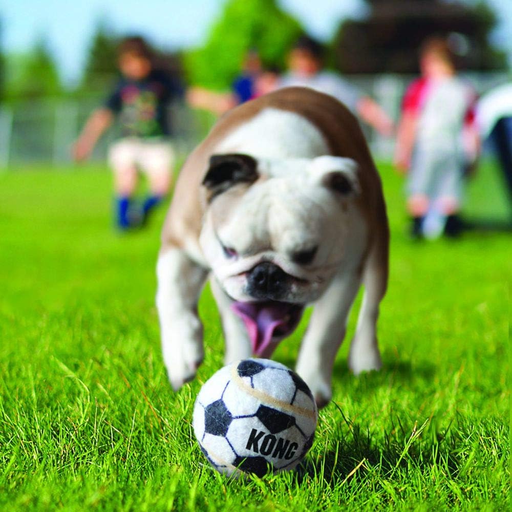 KONG - Sport Balls - Dog Toy Premium Squeak Tennis Balls, Gentle on Teeth (Assorted Style) - For Large Dogs - Image 3