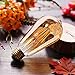 YFXRLIGHT Dimmable 6W Vintage Edison LED Bulb, ST64(ST21) Antique Filament LED Light Bulbs (Amber Glass), 50W Equivalent, Soft Warm 2200K 420 Lumens, 6 Pack（2 Year Warranty