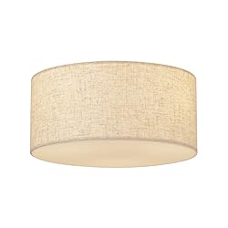 Vexagyle 13inch Semi Flush Mount Ceiling Light