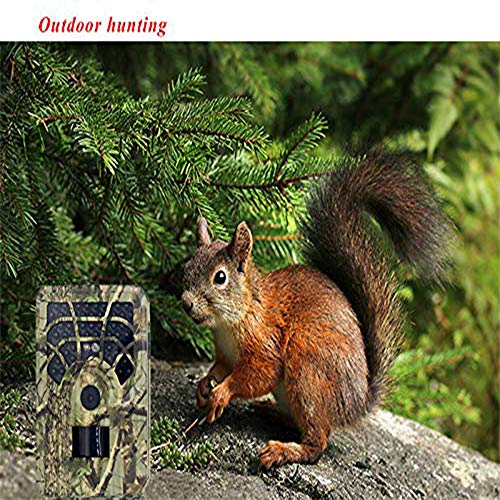 QZMVER Mini HD Wildkamera, Hunting Camera Fotofalle 120° Weitwinkel Vision Infrarote Nachtsicht Überwachungskamera… – Bild 3