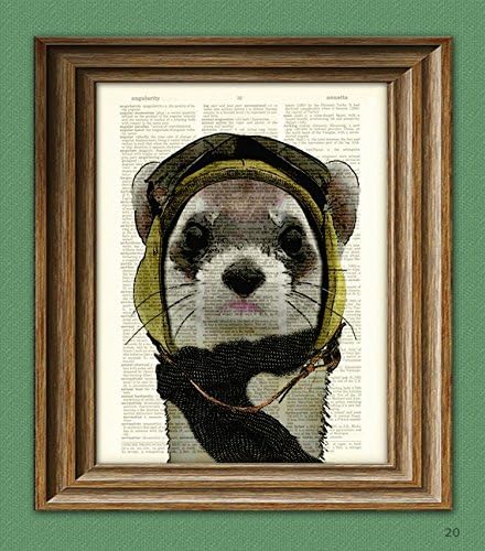 Bombardier Bob Steampunk Pilot Ferret Fighter Ace Hat and Goggles Illustration Beautifully Upcycled Dictionary Page Book Art Print