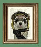 Bombardier Bob STEAMPUNK PILOT FERRET fighter ace hat and goggles illustration beautifully upcycled dictionary page book art print