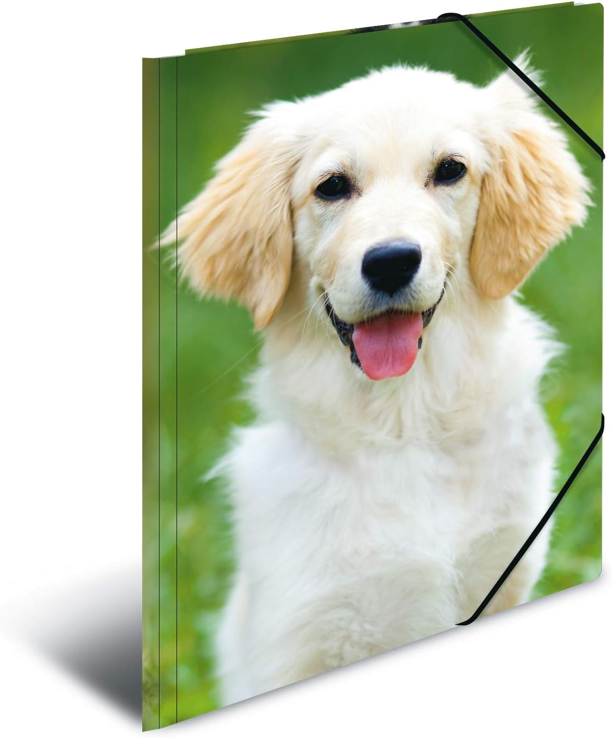 HERMA Elastic Folder Animals with Dogs Motif, A3, Sturdy Plastic, with Inner Print, 1 Span Folder - Image 3