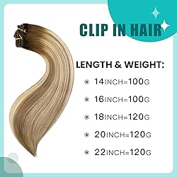 SURNEL Clip in Extensions Real Human Hair Balayage