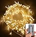 echosari 100ft/30m Warm White 300 LED Outdoor & Indoor Battery Fairy Lights w/Remote & Timer, Waterproof (8 Modes, 4 x AA Batteries, Dimmable, Clear Cable)