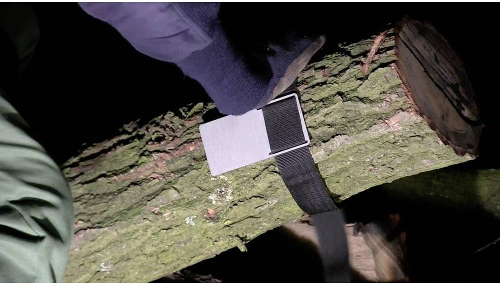 SILA Gurt with Metallplatte 306010