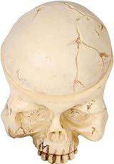 New Star Tattoo 7 Hole Skull Ink Cup Holder Stand Resin Permanent Makeup view 4