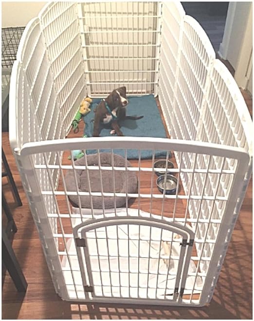 doggie playpen amazon