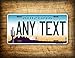 Custom Arizona State License Plate AZ Cactus Auto Tag Official Replica Any Text! Personalized Sign