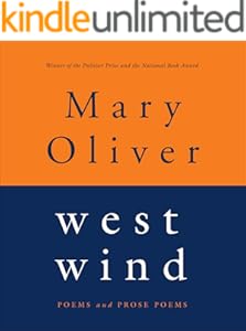 kindle best category lists