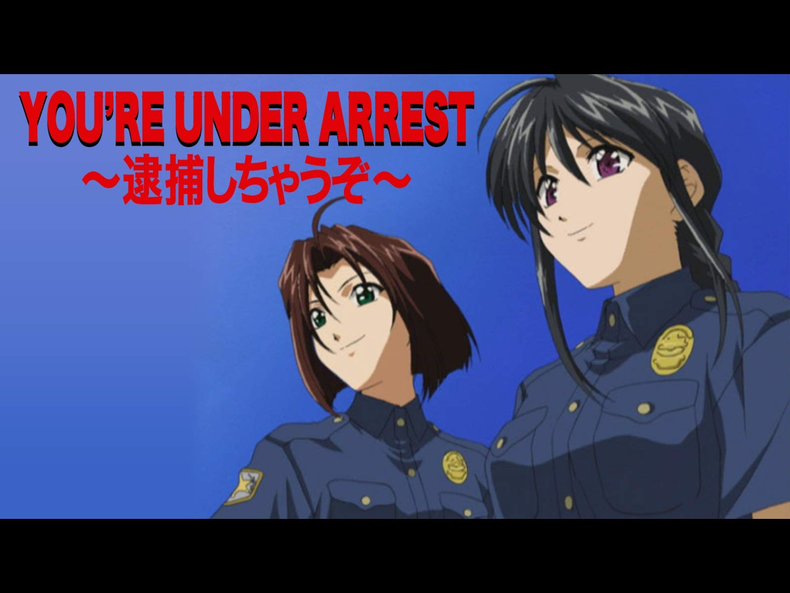 Amazon Co Jp You Re Under Arrest 逮捕しちゃうぞ Dアニメストア を観る Prime Video
