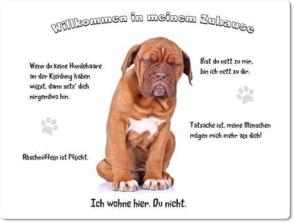 Merchandise For Fans Blechschild Warnschild Turschild Aluminium