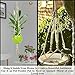 FLORO Indoor-Outdoor Macrame Plant Hanger, All Natural Hemp Rope Braided Securely to Hold Your Houseplants