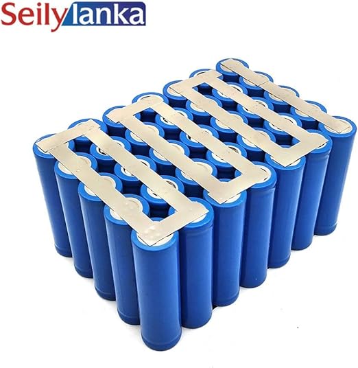 phylion battery price