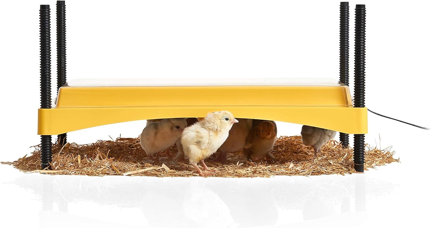 Brinsea EcoGlow Safety 1200 Chick Brooder - Chick Brooder Heat Plate for Chicks - Heat Lamp Replacement - Made in Great Britain - 3 Year Guarantee