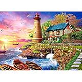 Jigsaw Puzzles for Adults 1000 Piece Puzzle for