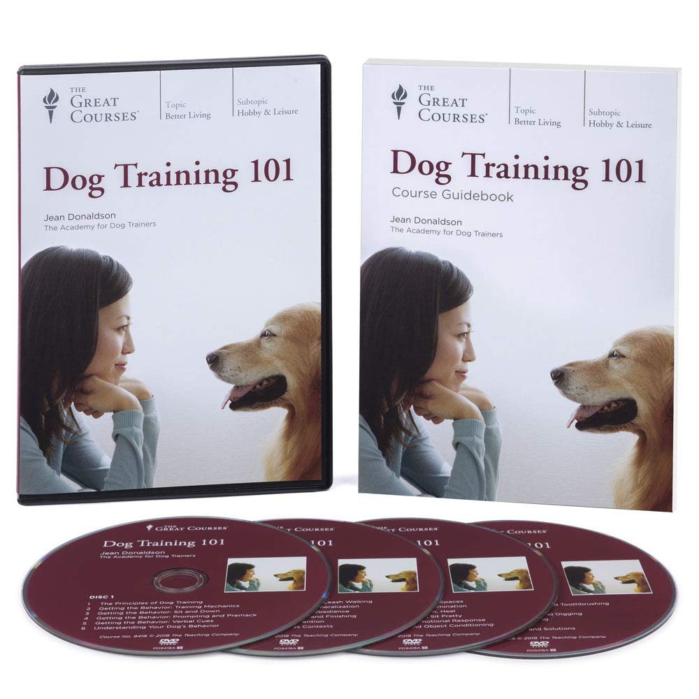 great courses dog training