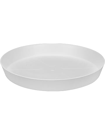 Platillos para plantas | Amazon.es