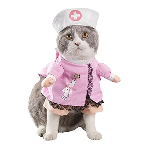 Morbuy Reizende Katzenkostüm Hunde Haustier Kleidung, HundeKostüm Hundebekleidung Kostüme Kleidung Katze lustiges Kleid cospl