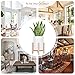 Moutik Wooden Plant Stand Indoor:Mid-Century Modern Plant Holder with 6.5″ White Flower Pot Perfect for Display Mini Cactus Aloe Snake Plant in Outdoor Garden Patio Deskthumb 3