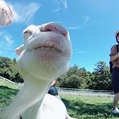 カスタマー画像