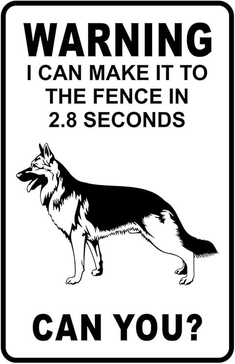 diamond dog food taste of the wild