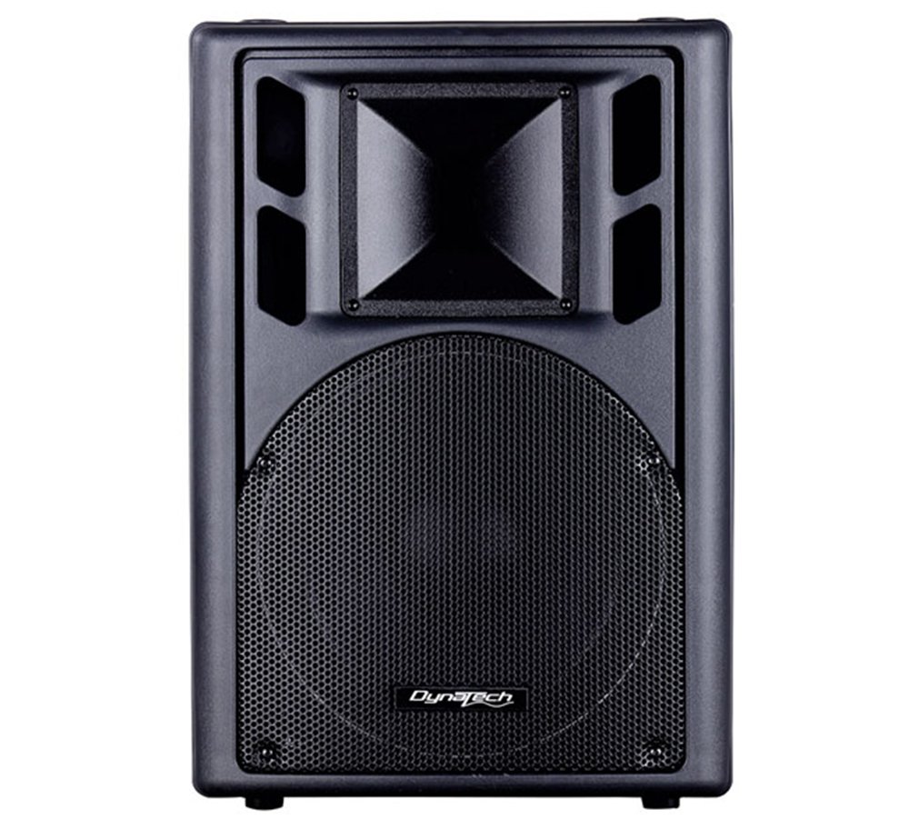 dynatech speakers 12 inch