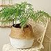 Wensltd Clearance! Seagrass Wicker Basket Wicker Basket Flower Pot Folding Basket Dirty Basket (White)