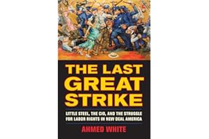 Last Great Strike: Little Steel, the CIO, and the Struggle for Labor Rights in New Deal America