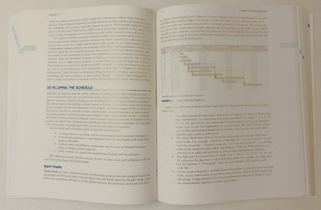 Information Technology Project Management with CDROM