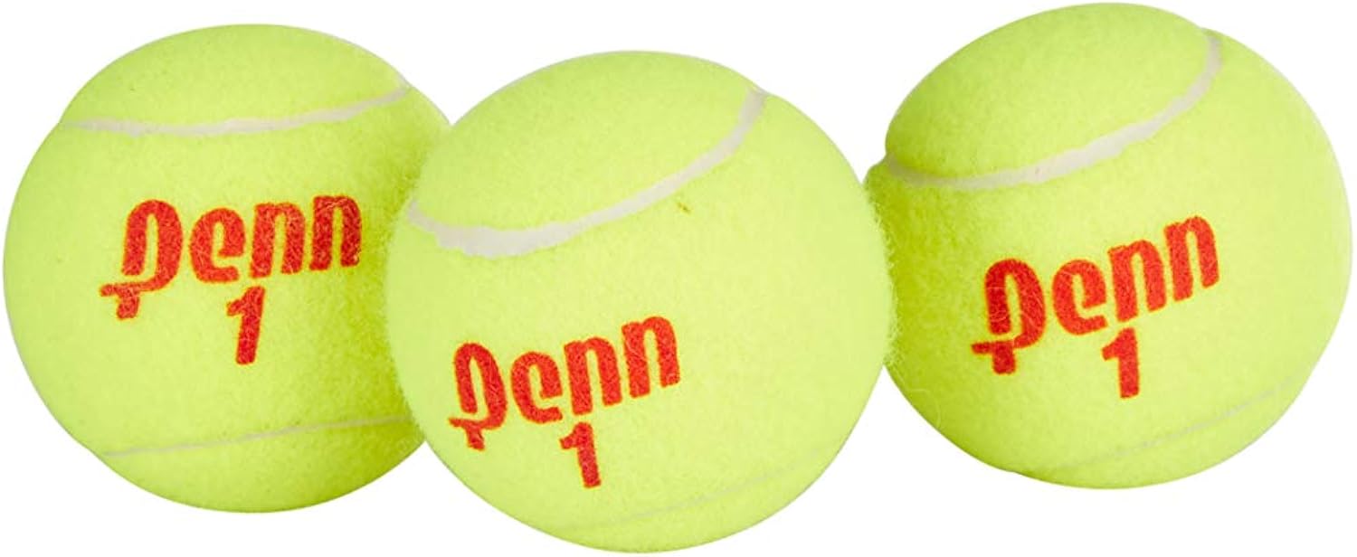 Penn Championship Tennis Balls - Regular Duty Felt Pressurized Tennis Balls - 12 Cans, 36 Balls : Sports & Outdoors
