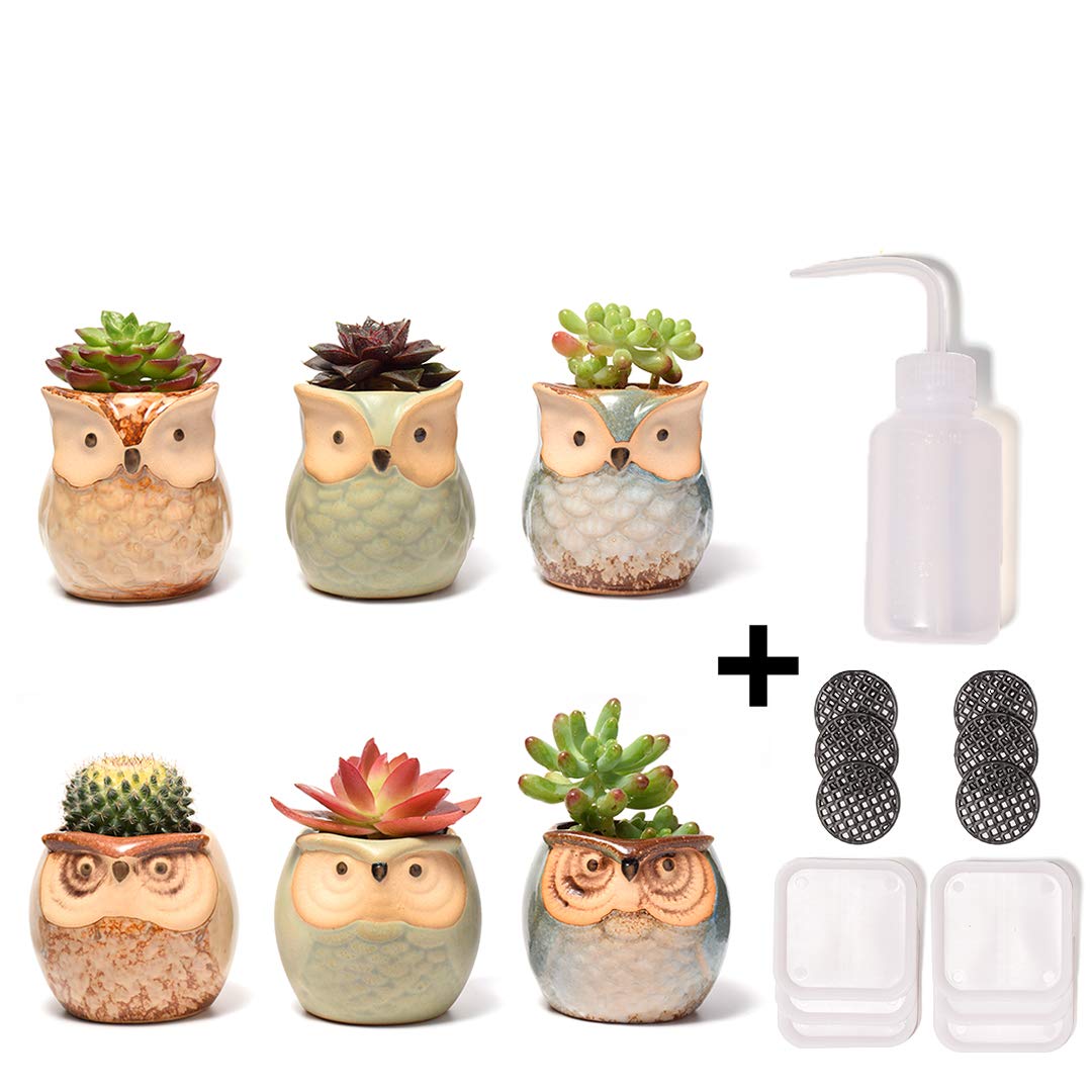 Best small decorative flower pots for kitchen window