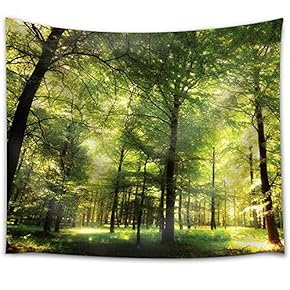 Forest Filled with Trees and with Glimpses of The Sun - Fabric Tapestry, Home Decor - 51x60 inches