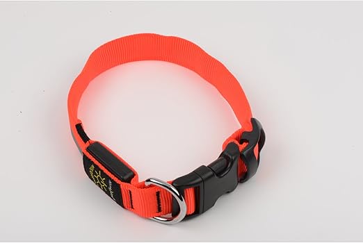 nite dawg collar