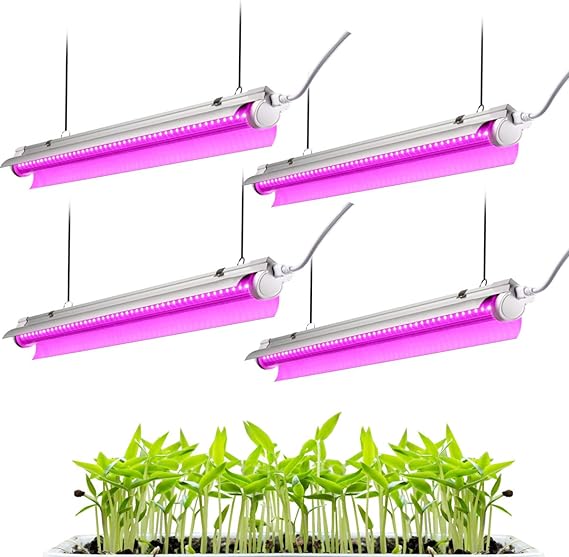 Best T8 Bulbs For Growing Plants Grower Today