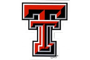 GAME DAY OUTFITTERS NCAA Texas Tech Red Raiders Car Magnet Sm