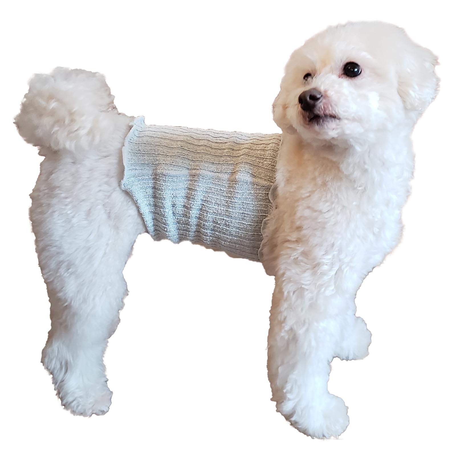 Panfree ペット シルク腹巻き 犬服 ドッグウェア 日本製 Pancia シルク腹巻 はらまき 小型犬 中型犬 冷え防止 シルク80% 犬用 猫用 犬の服 ペット服 Mサイズ ピンク の商品画像