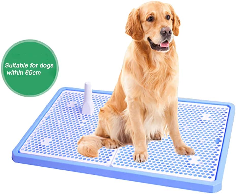 puppy eating dog litter