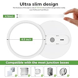 zemty LED Ceiling Light 6.5 Inch, 12W 1200lm