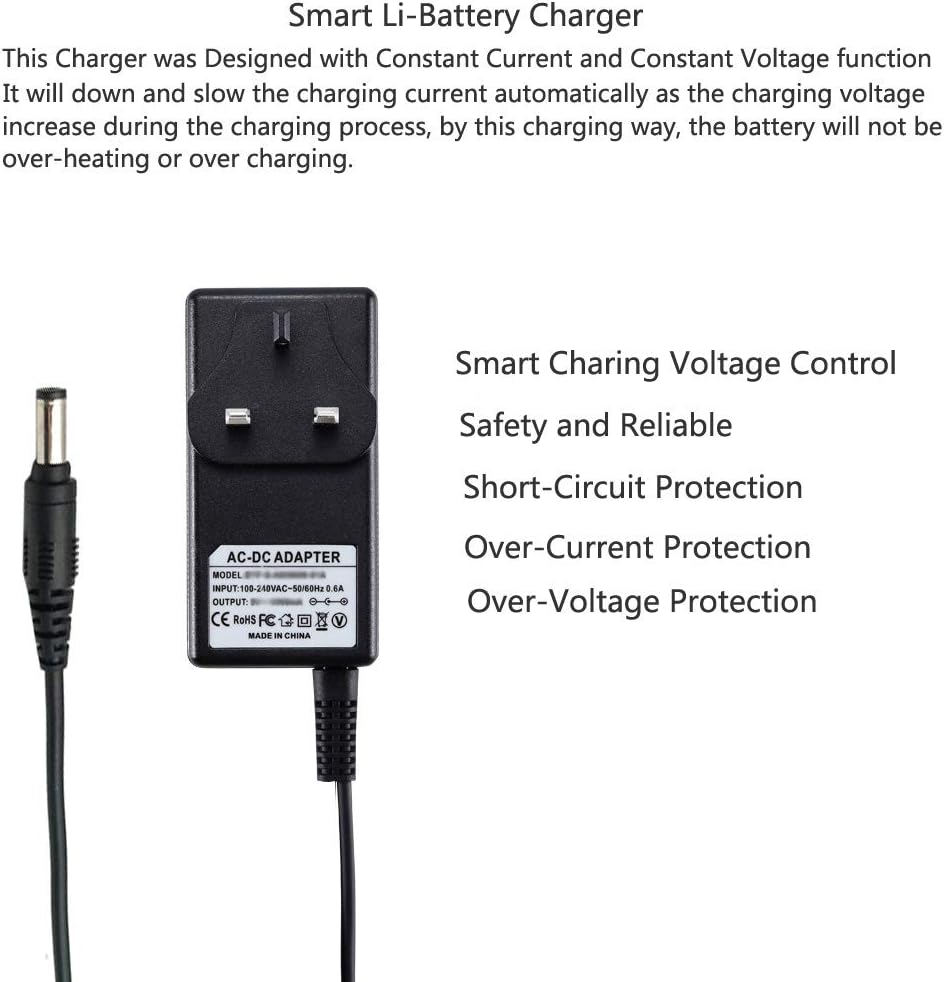 DEYF Replacement 23V 400ma Constant Current Battery Charger Power