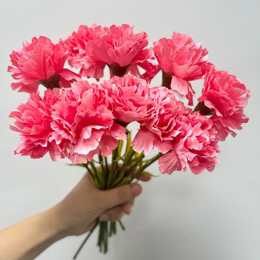 Rikyo 11inch Bouquets 10 Stem Carnations,Outdoor No Fade Artificial Flower,Mini Carnation Silk Petals Fake Flowers Forever Plants for Photo Props Home Party and Wedding Holding Flowers(Red)